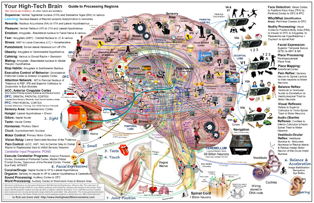 Brain Maps